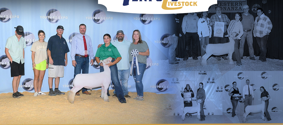 Penfold Livestock